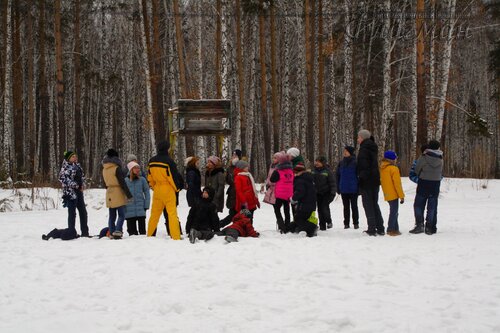 Прогулка с элементами ОФП